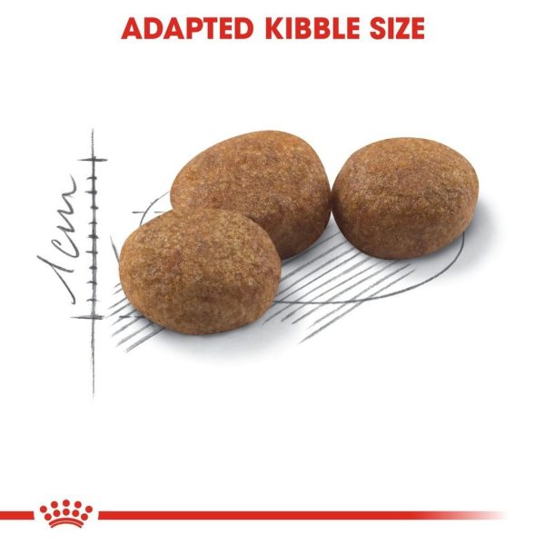 Royal Canin Regular Sterilised 37 Adult Dry Cat Food (2kg)