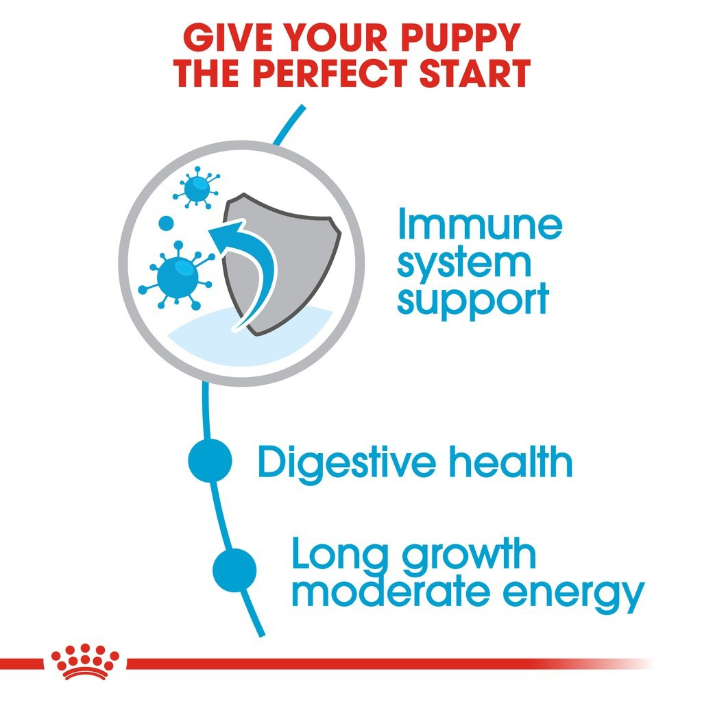 Royal Canin Maxi Puppy Dry Dog Food (15kg)