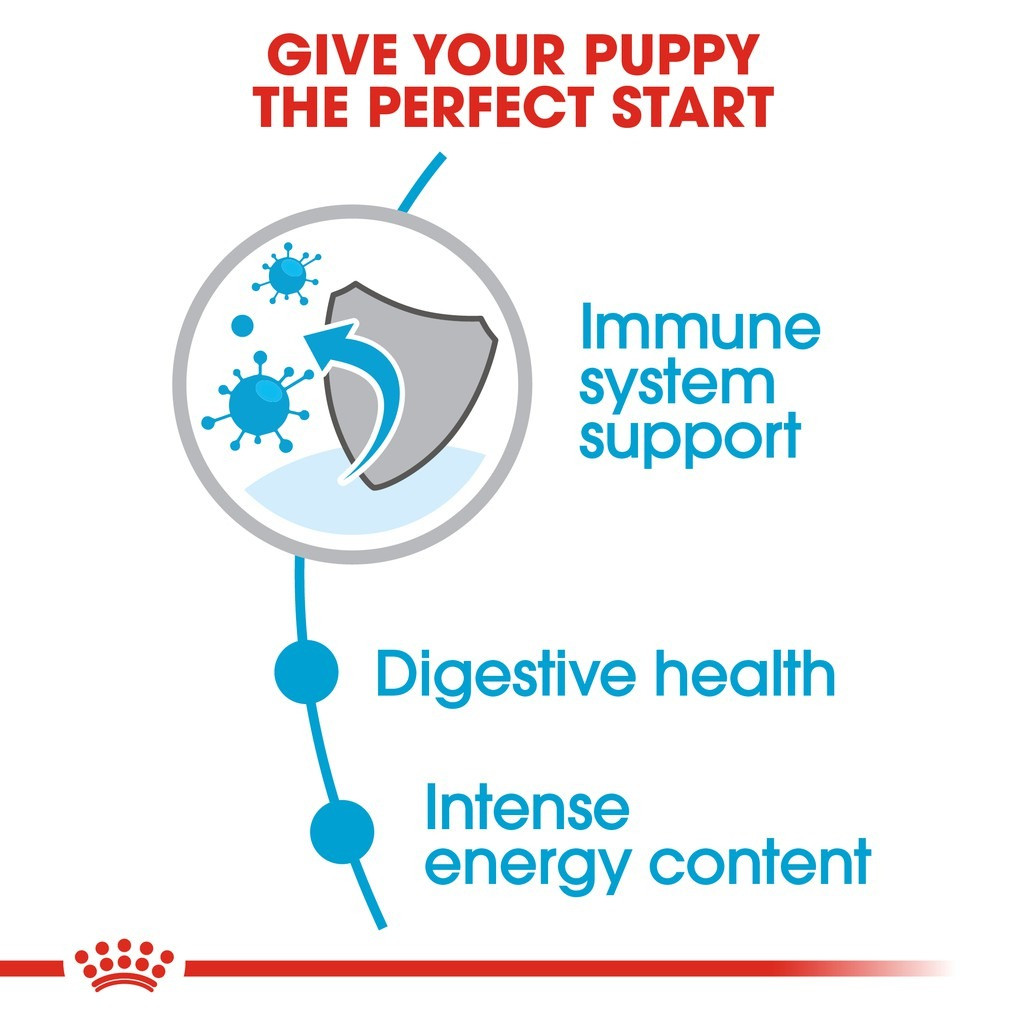 Royal Canin Mini Puppy Dry Dog Food (8kg)