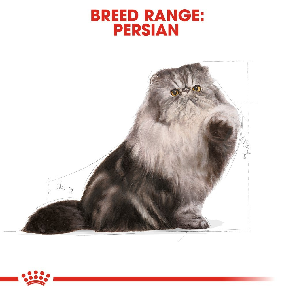 Royal Canin Persian Adult Dry Cat Food (2Kg)