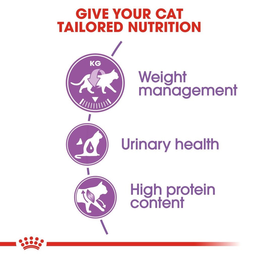 Royal Canin Regular Sterilised 37 Adult Dry Cat Food (2kg)