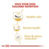 Royal Canin Shih Tzu Adult Dry Dog Food (3kg)
