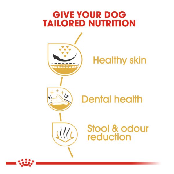 Royal Canin Shih Tzu Adult Dry Dog Food (3kg)