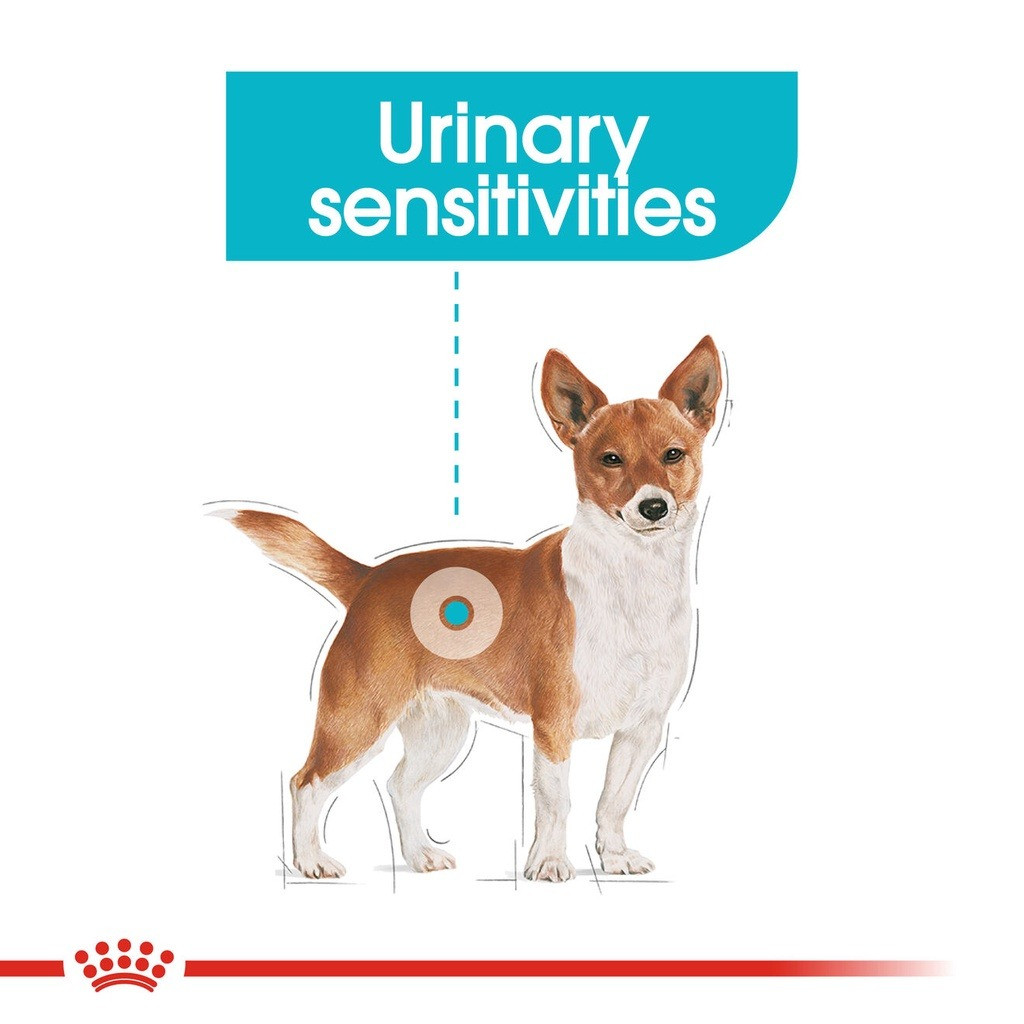 Royal Canin Mini Urinary Care Adult Dry Dog Food - Canine Care Nutrition (3kg)