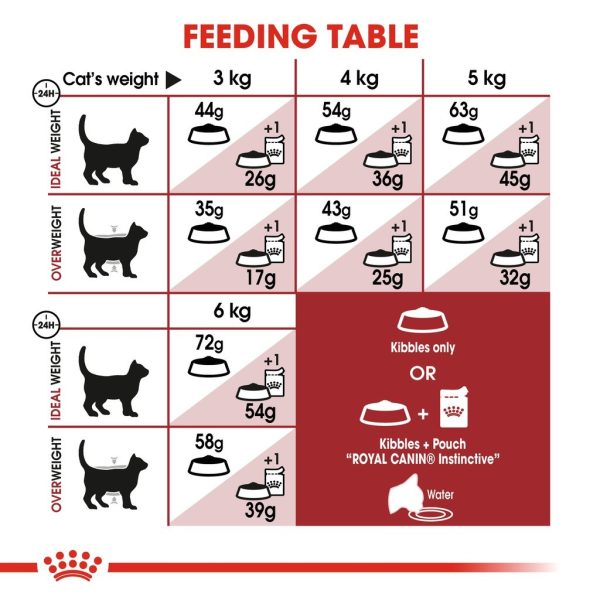 Royal Canin Fit 32 Adult Dry Cat Food - Feline Health Nutrition 10KG
