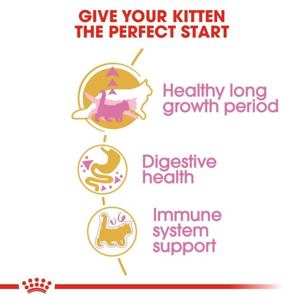 Royal Canin Maine Coon Kitten Dry Cat Food (2kg)