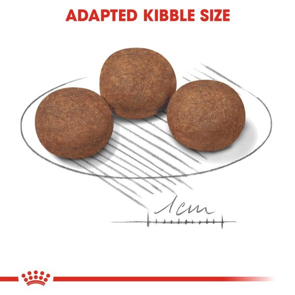 Royal Canin Medium Puppy Dry Dog Food (4kg)