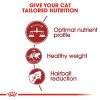 Royal Canin Fit 32 Adult Dry Cat Food - Feline Health Nutrition 10KG