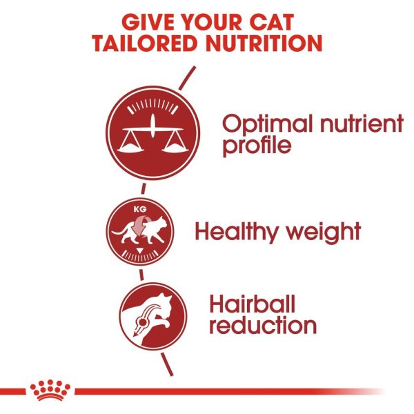 Royal Canin Fit 32 Adult Dry Cat Food - Feline Health Nutrition 10KG