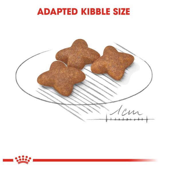 Royal Canin Mini Adult Dry Dog Food (2kg)