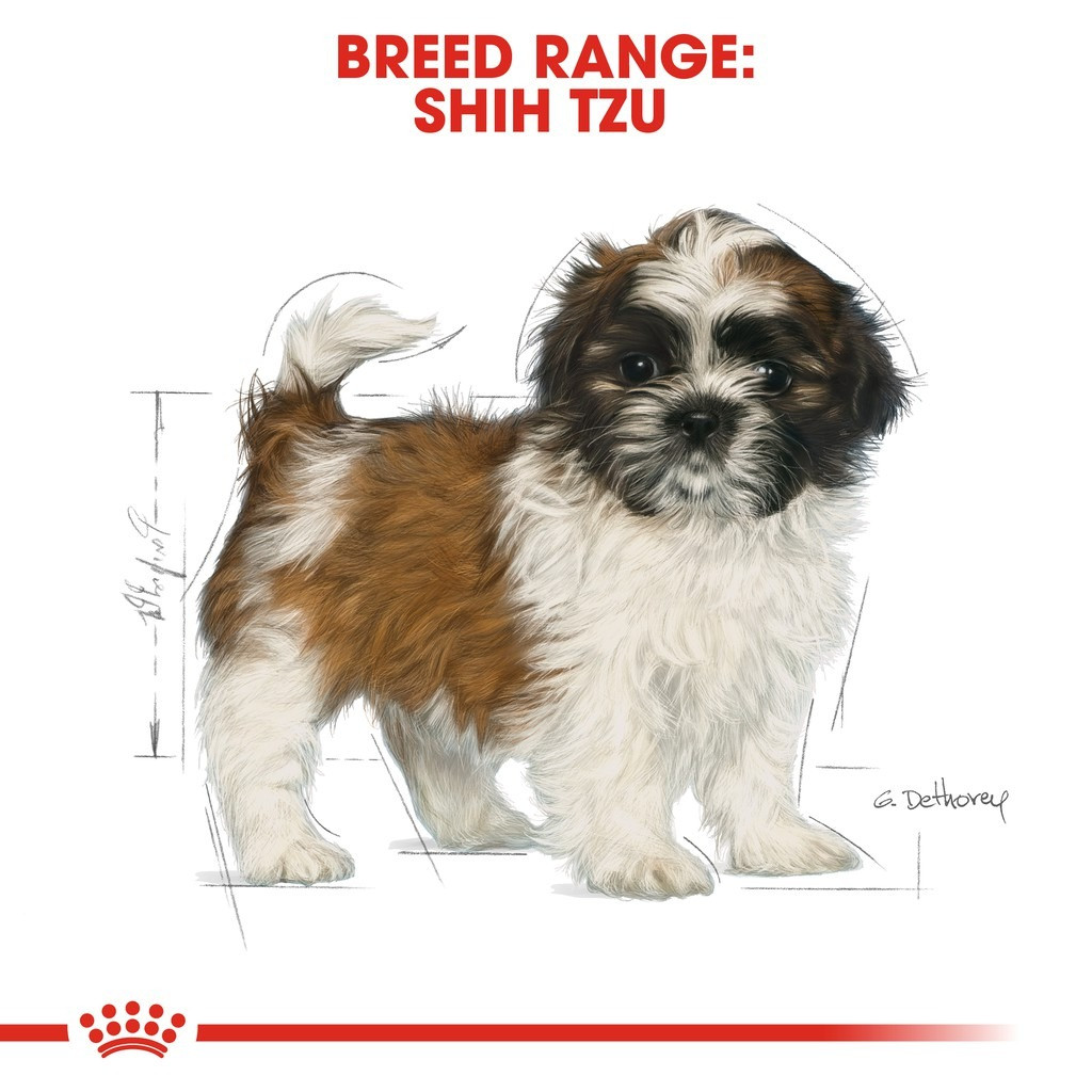 Royal Canin Shih Tzu Puppy Dry Dog Food (1.5kg)