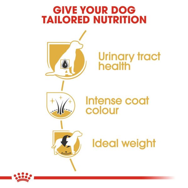 Royal Canin Miniature Schnauzer Adult Dry Dog Food (3kg)