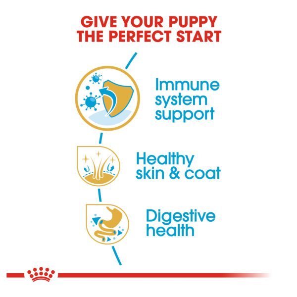 Royal Canin Shih Tzu Puppy Dry Dog Food (1.5kg)