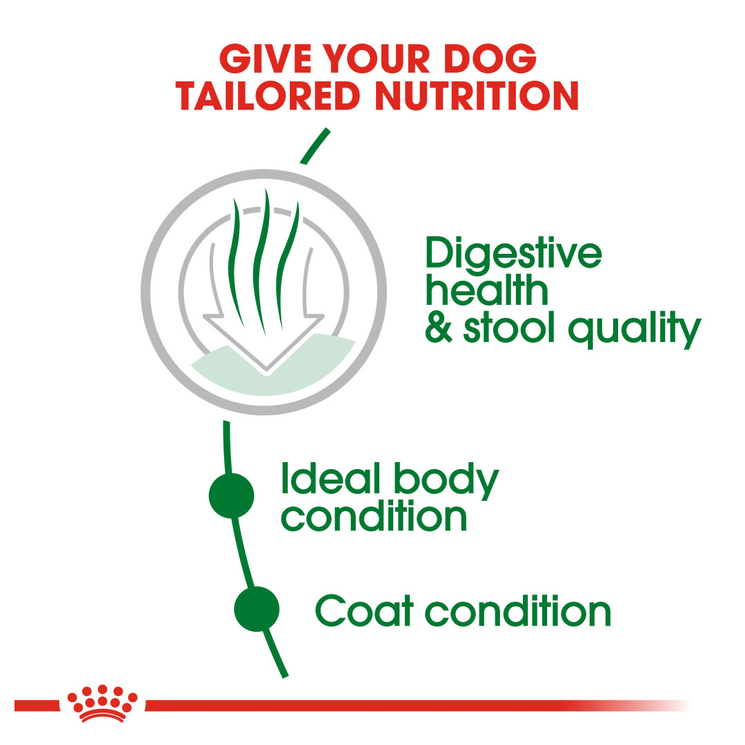 Royal Canin Mini Indoor Adult Dry Dog Food (1.5kg)