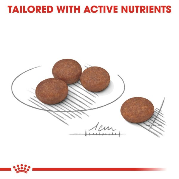 Royal Canin Mini Digestive Care Dry Dog Food (3kg)