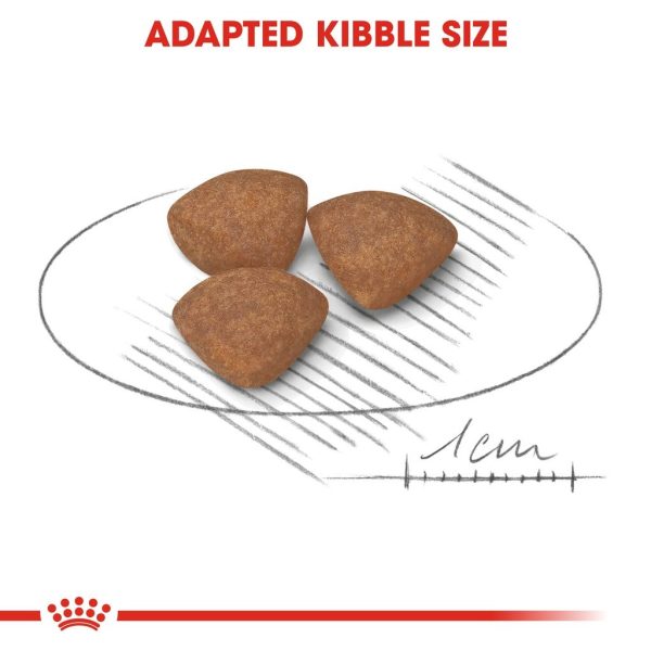 Royal Canin Mini Puppy Dry Dog Food (2kg)