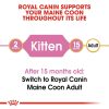 Royal Canin Maine Coon Kitten Dry Cat Food (2kg)