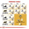 Royal Canin Persian Adult Dry Cat Food (2Kg)