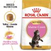 Royal Canin Maine Coon Kitten Dry Cat Food (2kg)