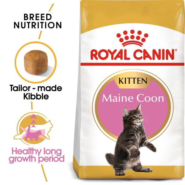 Royal Canin Maine Coon Kitten Dry Cat Food (2kg)