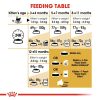 Royal Canin Maine Coon Kitten Dry Cat Food (2kg)