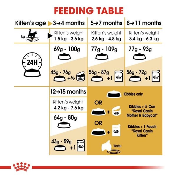 Royal Canin Maine Coon Kitten Dry Cat Food (2kg)