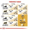 Royal Canin British Shorthair Adult Dry Cat Food (2kg)