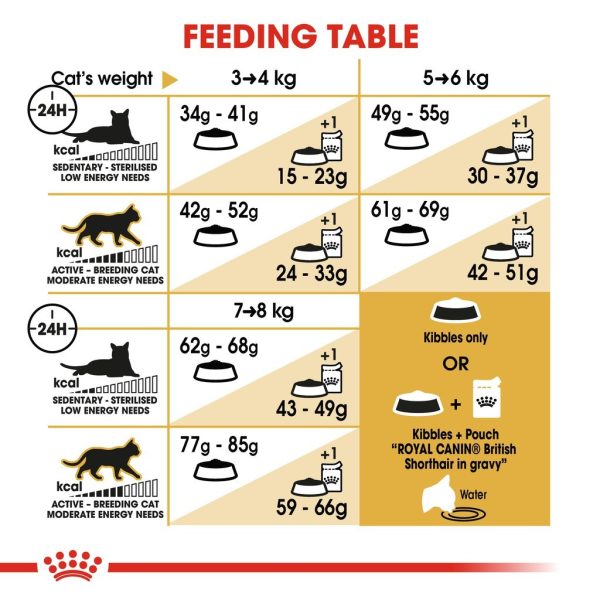 Royal Canin British Shorthair Adult Dry Cat Food (2kg)