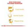 Royal Canin Poodle Adult Dry Dog Food (1.5kg)