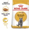Royal Canin British Shorthair Adult Dry Cat Food (2kg)