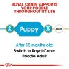 Royal Canin Poodle Puppy Dry Dog Food (3kg)