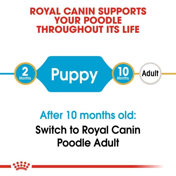 Royal Canin Poodle Puppy Dry Dog Food (3kg)