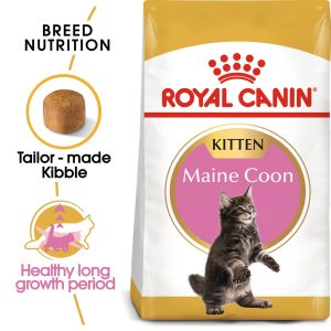 Royal Canin Maine Coon Kitten Dry Cat Food (4kg)
