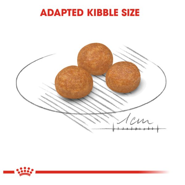 Royal Canin X-Small Adult Dry Dog Food (3kg)