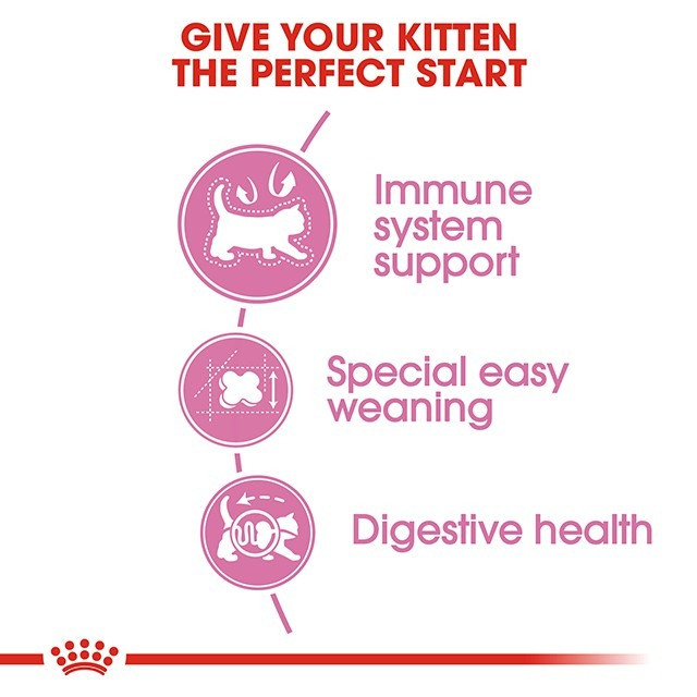 Royal Canin Mother & Babycat Dry Cat Food 2KG