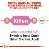 Royal Canin British Shorthair Kitten Dry Cat Food (2kg)