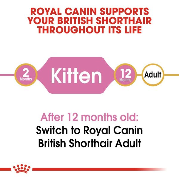 Royal Canin British Shorthair Kitten Dry Cat Food (2kg)
