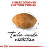 Royal Canin Persian Adult Dry Cat Food (2Kg)
