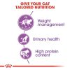Royal Canin Regular Sterilised 37 Adult Dry Cat Food (10kg)