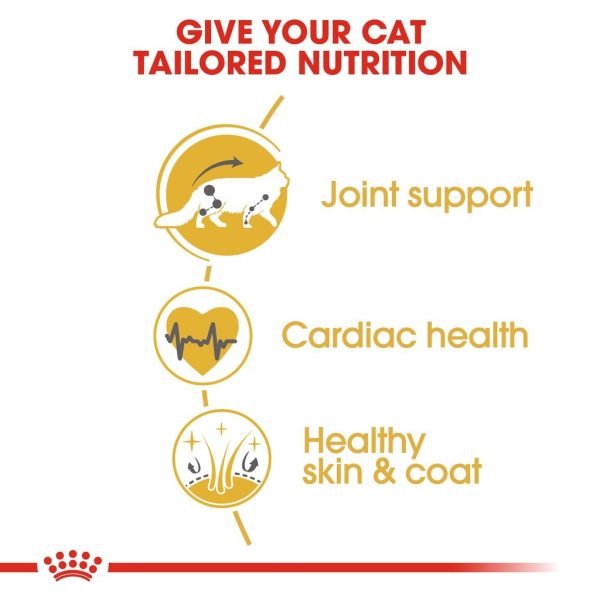 Royal Canin Maine Coon Adult Dry Cat Food (2kg)