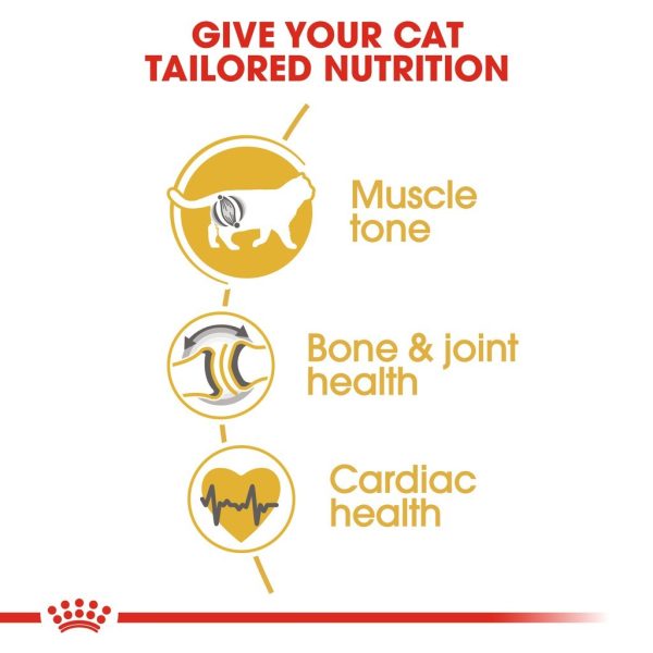 Royal Canin British Shorthair Adult Dry Cat Food (2kg)