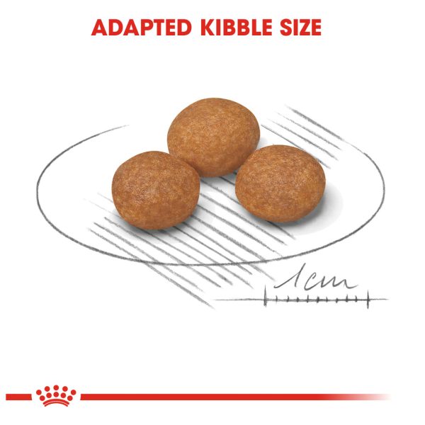 Royal Canin X-Small Mature+8 Dry Dog Food (1.5kg)
