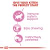 Royal Canin Wet Kitten Gravy Cat Pouch 85g x 12pack (box)