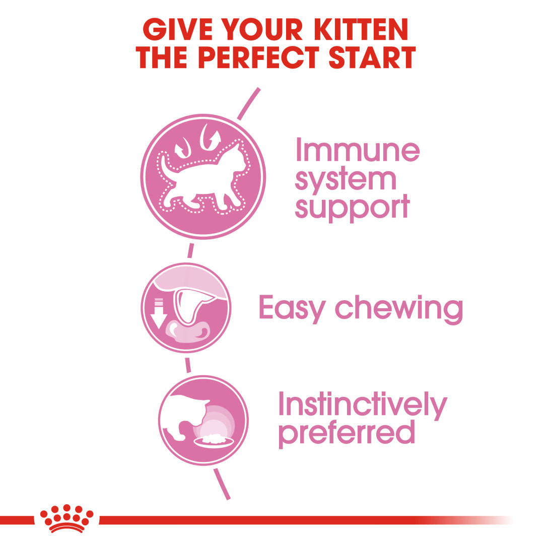 Royal Canin Wet Kitten Gravy Cat Pouch 85g x 12pack (box)