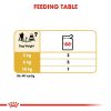 Royal Canin Poodle Adult Wet Dog 85g x12pack ( BOX )