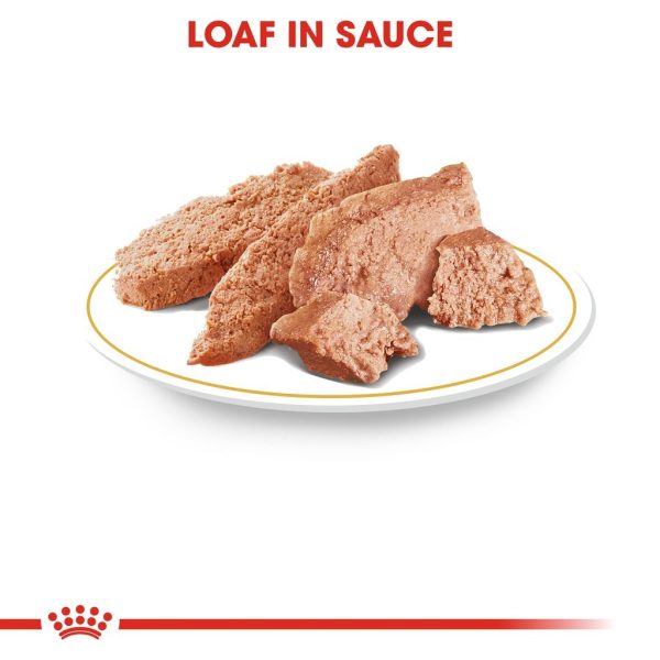 Royal Canin Poodle Adult Wet Dog Food (LOOSE) - 85G