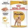 Royal Canin Poodle Adult Wet Dog 85g x12pack ( BOX )