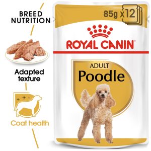 Royal Canin Poodle Adult Wet Dog 85g x12pack ( BOX )