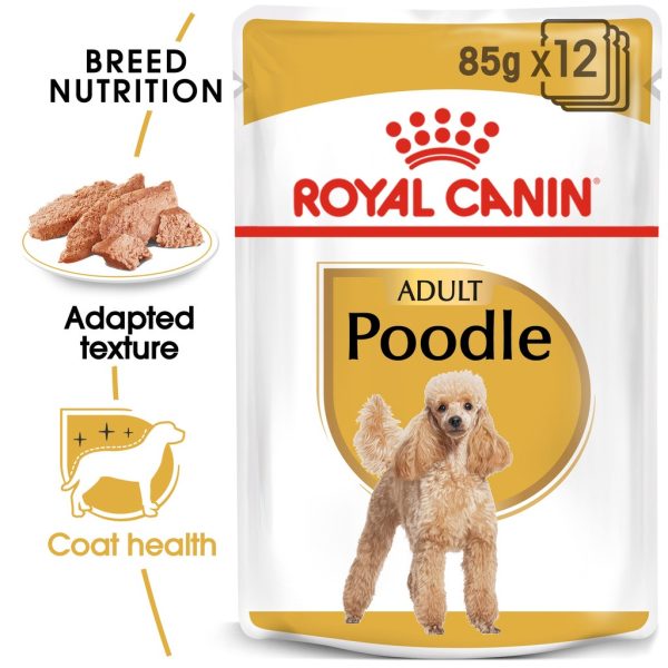 Royal Canin Poodle Adult Wet Dog 85g x12pack ( BOX )