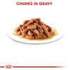 Royal Canin Wet Kitten Gravy Cat Pouch 85g x 12pack (box)